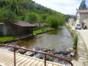 coaching touristique développement tourisme