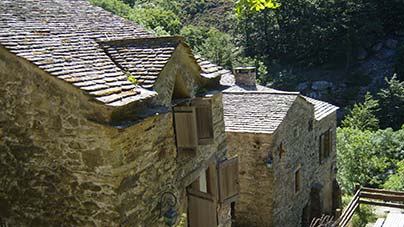 Gestion et développement d'un hébergement collectif consultant tourisme