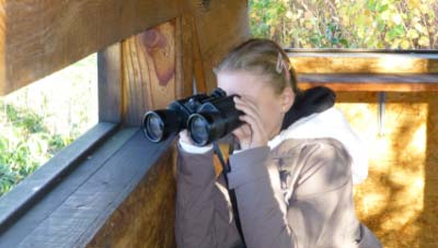 Veille touristique consultant tourisme