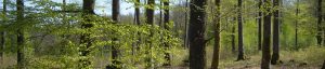 développement touristique activité pleine nature