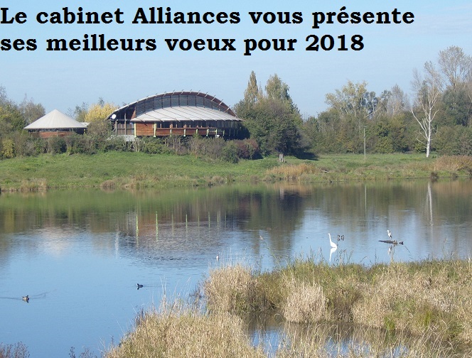 Le cabinet Alliances vous présente ses meilleurs voeux pour 2018